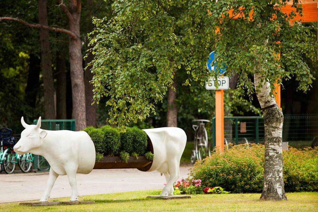 Piejuras Kempings Ventspils Extérieur photo